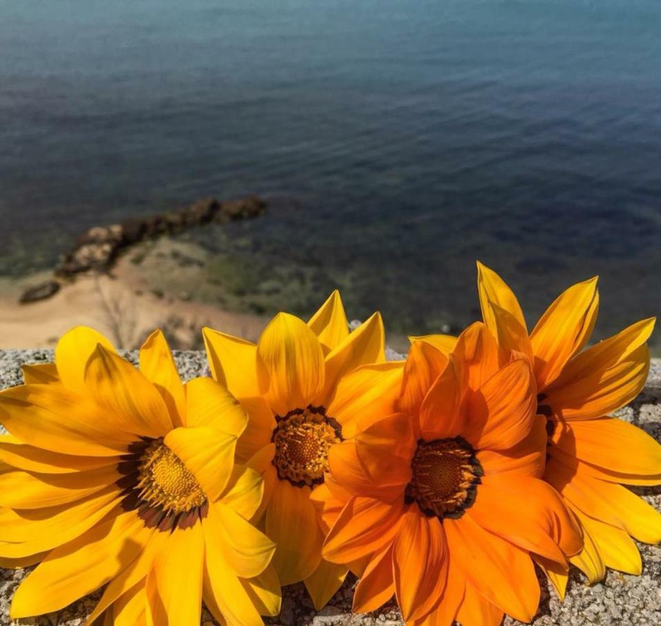 Magnolia Gialla Bed and Breakfast Trappeto  Εξωτερικό φωτογραφία