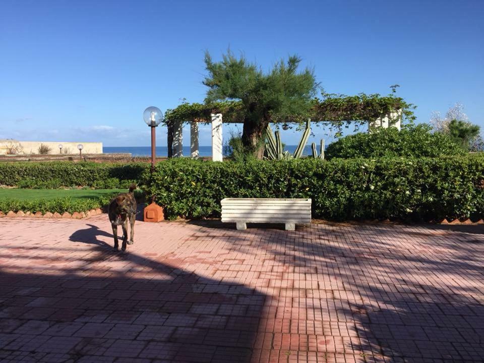 Magnolia Gialla Bed and Breakfast Trappeto  Εξωτερικό φωτογραφία